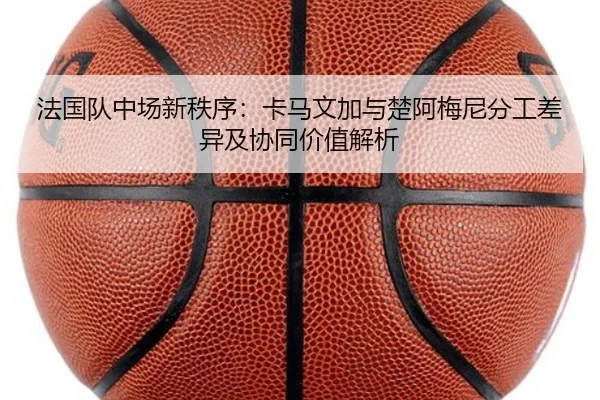 法国队中场新秩序：卡马文加与楚阿梅尼分工差异及协同价值解析