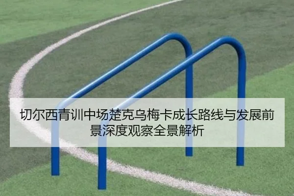 切尔西青训中场楚克乌梅卡成长路线与发展前景深度观察全景解析